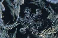 Close-up of an intricate snowflake displaying natural symmetry and icy beauty. Captured in winter.