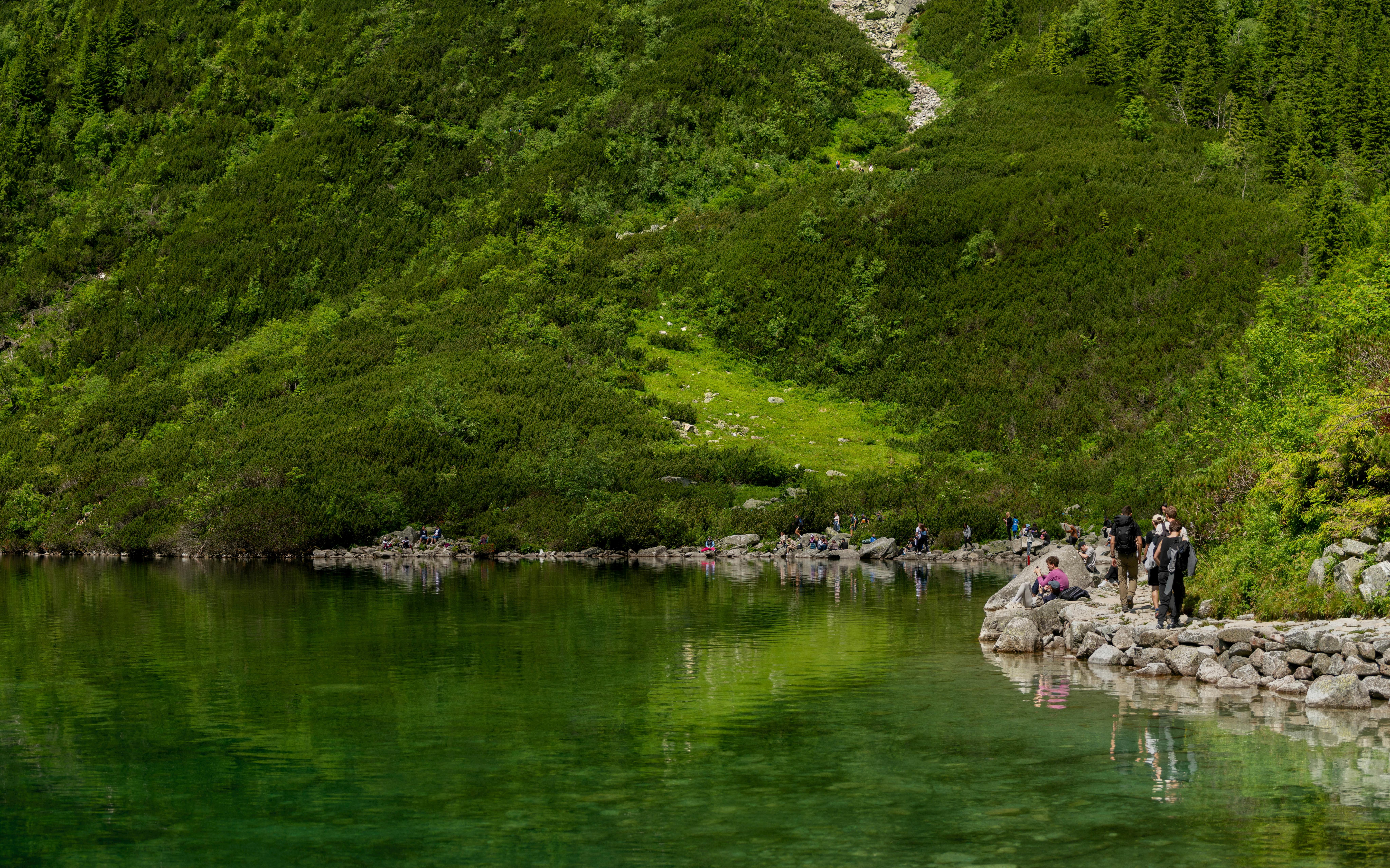 Tranquil mountain lake surrounded by lush greenery in Zakopane, Poland. Perfect for hikers and nature lovers.