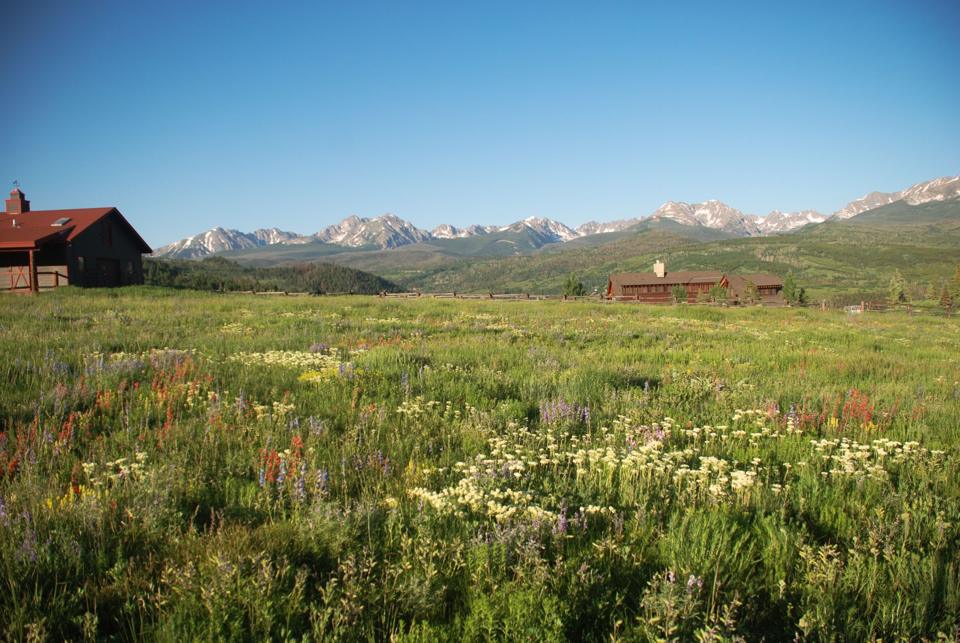 Silverthorne