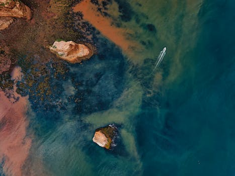 Breathtaking aerial view of Sidmouth coastline, showcasing vivid blue waters and rocky formations.