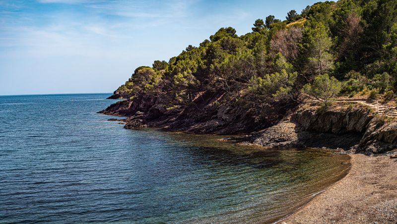 Green rocky shoreline at Roses in Catalonia