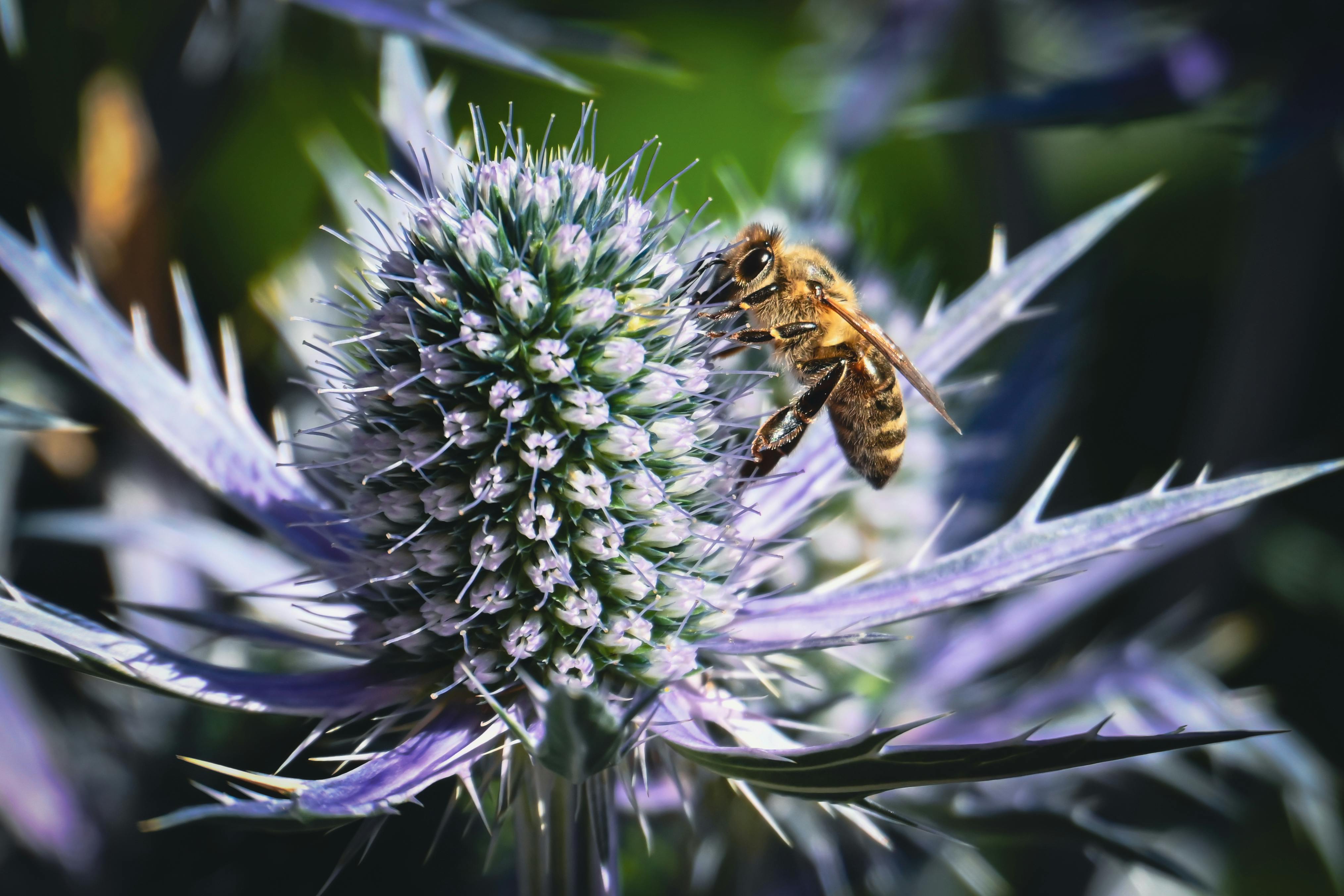 Ark Valley Civics Bee Competition to Send Three Local Students to State — Photo by Alexas Fotos on Pexels