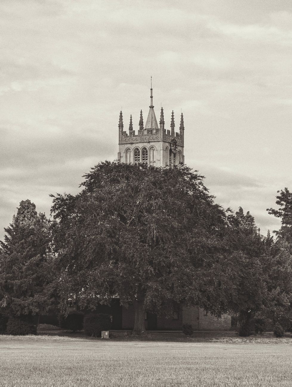 St Mary's Church tower peeking above a large tree in Melton Mowbray, England