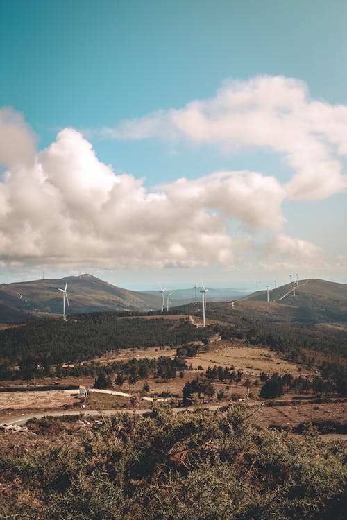 Electric Windmill and Trees Under Blue Sky