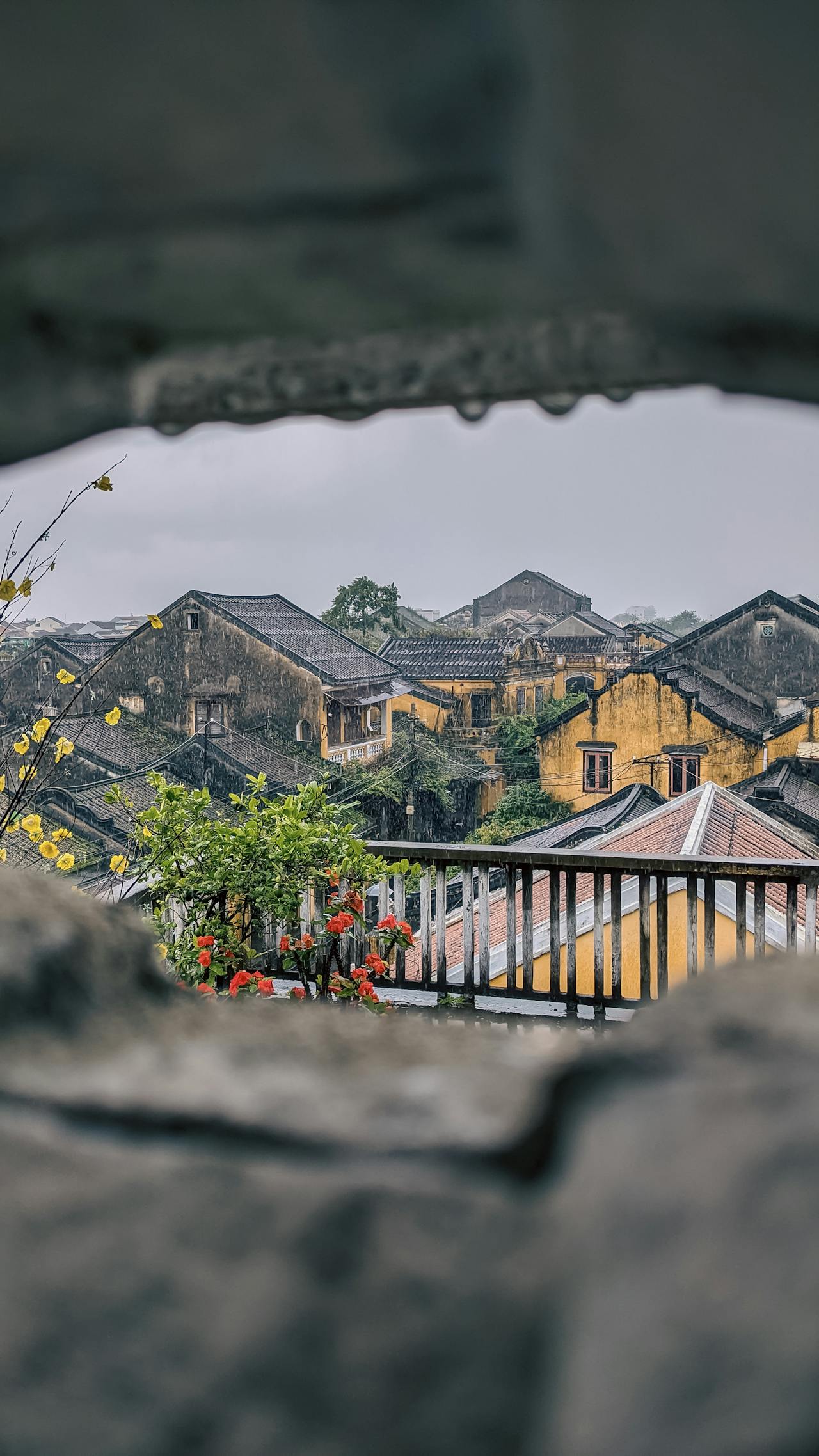 Messianic Politics – Tôn giáo và chính trị cực đoan ở Israel