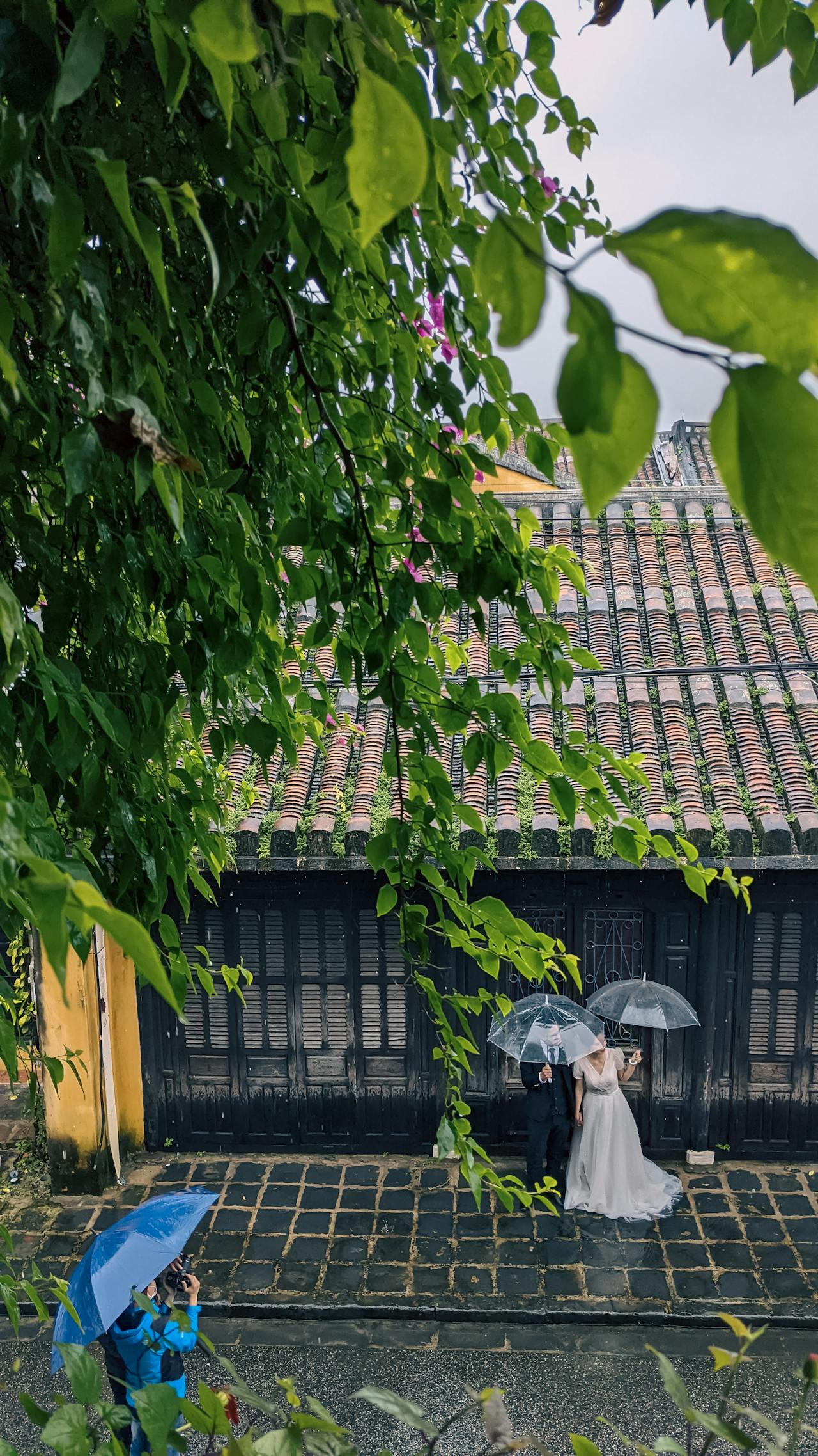 Big Bang không phải khởi đầu của vũ trụ