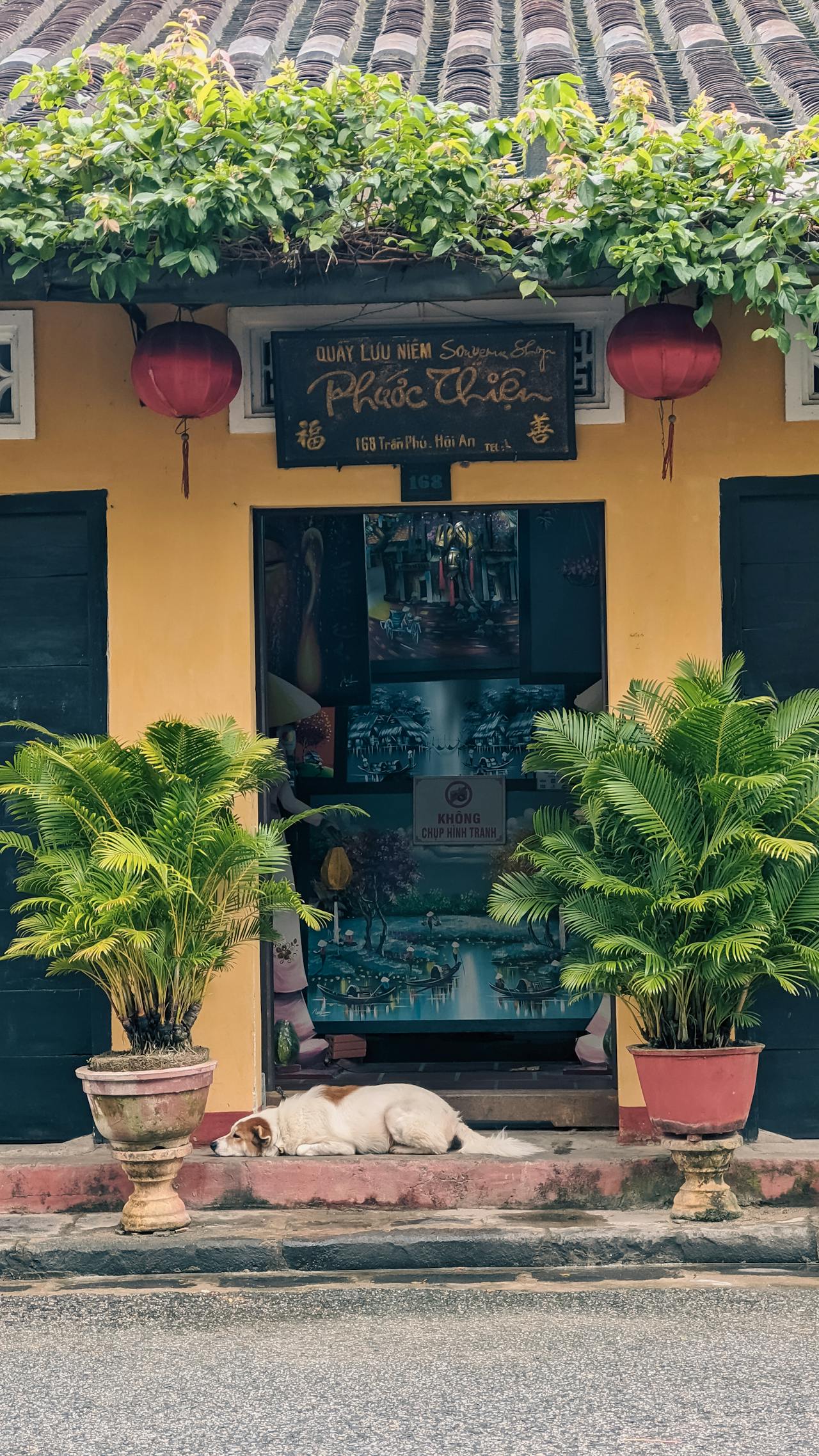 Người thầy của tỉnh thức và thương yêu | Chương 15