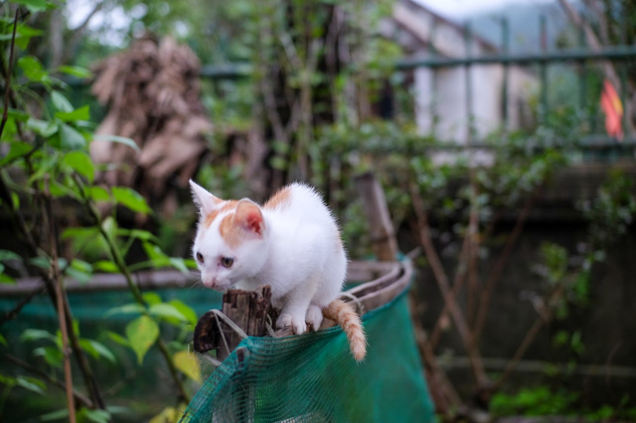 Kết nối lại tình bạn được đánh giá cao