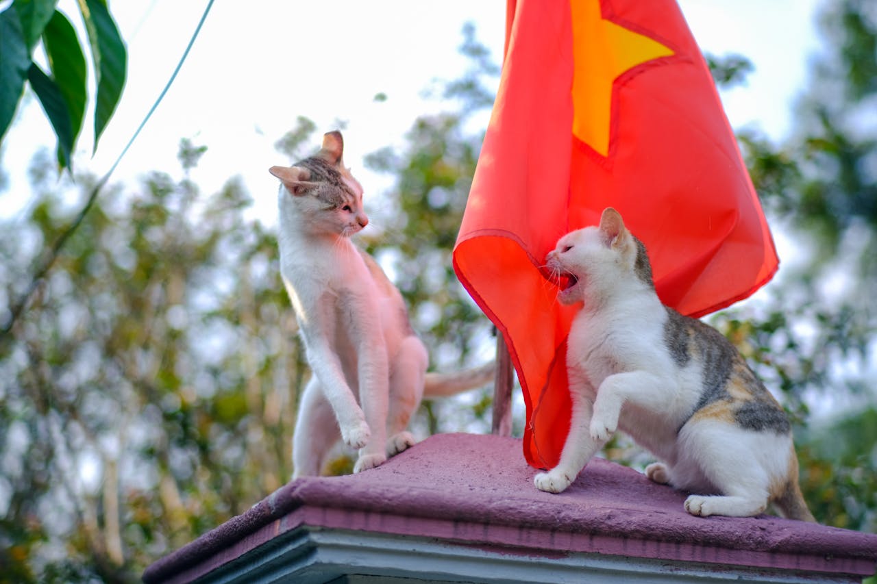 Thám tử lừng danh Conan | Chương 0118