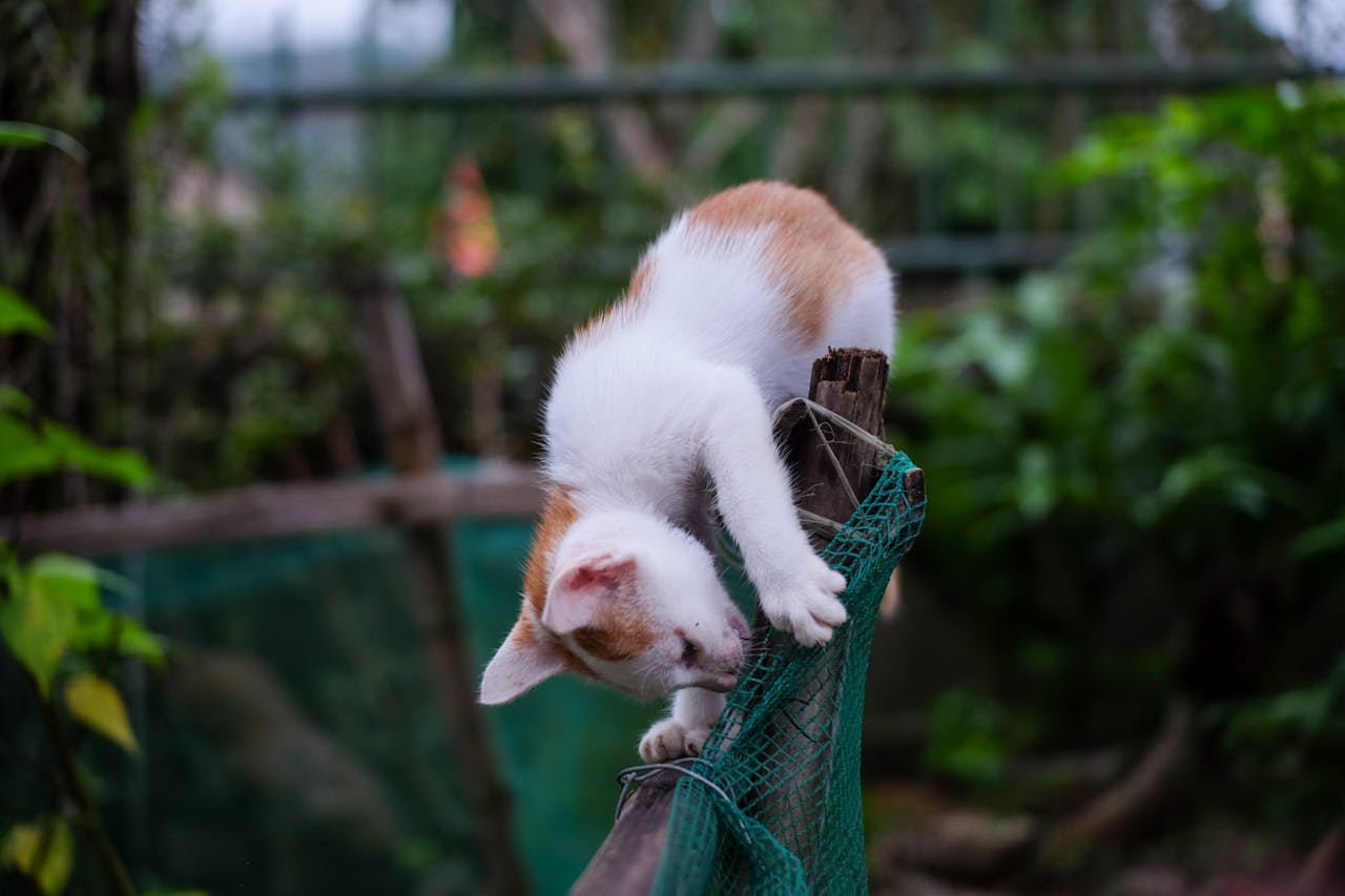 Tiểu sử nhà thơ Nguyễn Đình Thi