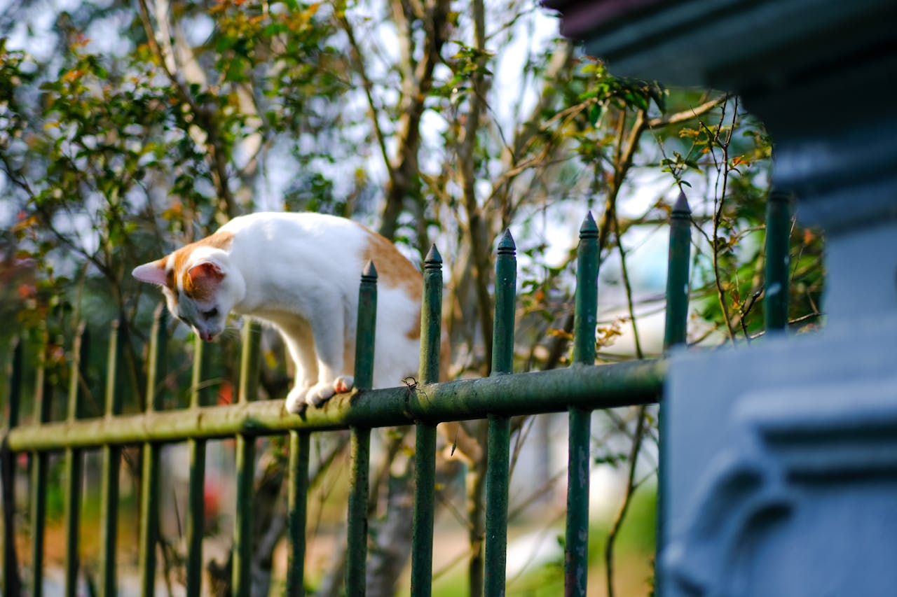 Thói quen viết lách hàng ngày dẫn đến thành công