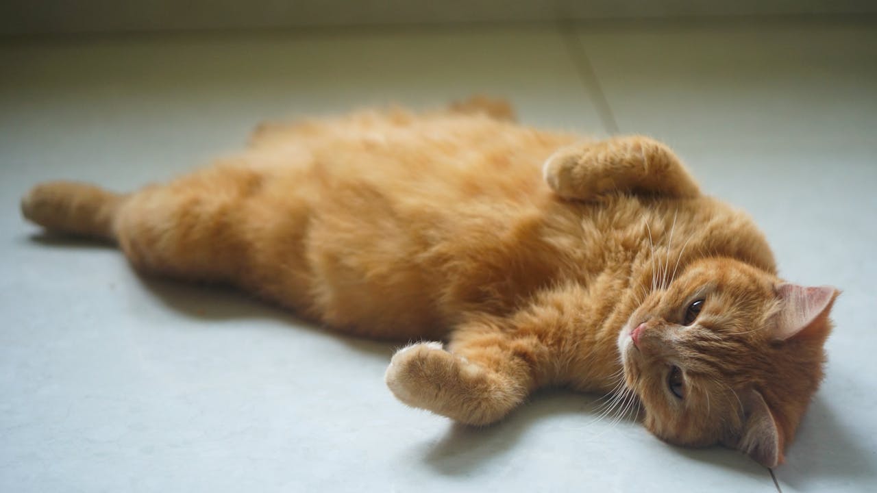 6 thành ngữ sâu sắc kỳ lạ nên có trong tiếng Anh