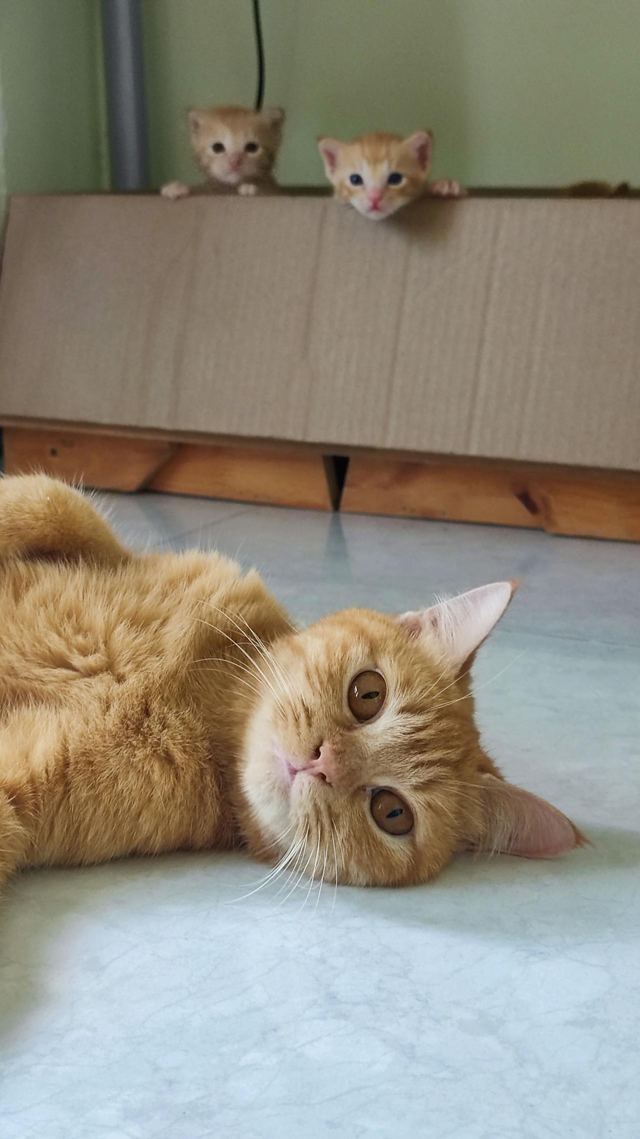 Gián điệp mạng | Chương 05