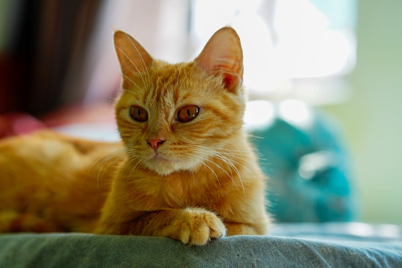 Người phụ nữ nguy hiểm nhất thế giới là ai?