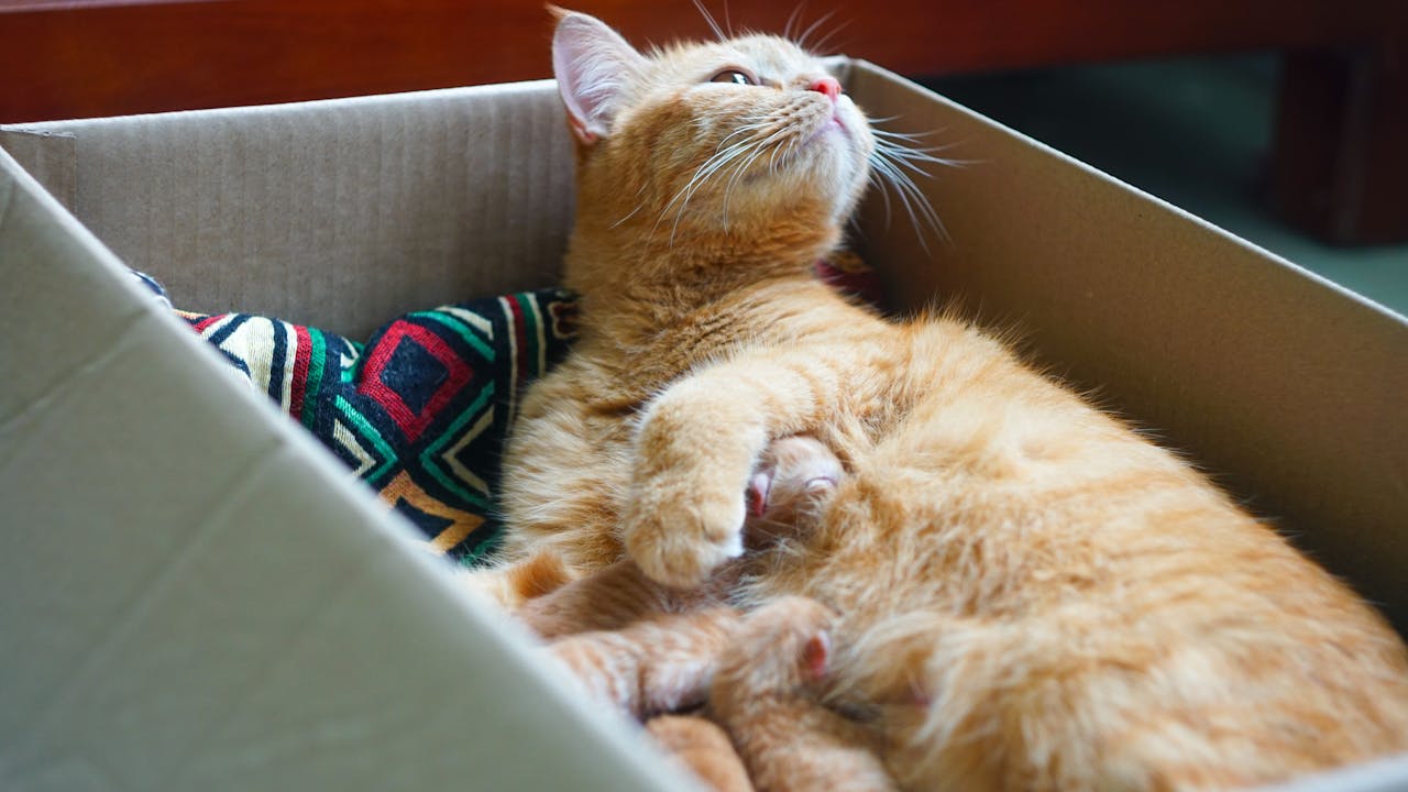 Nghiêng phải khi uống thuốc viên để hiệu quả