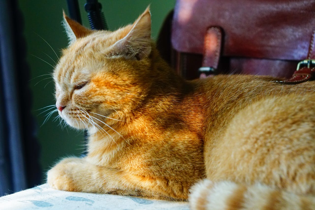 Hiệu lực cầu nguyện | Chương 01