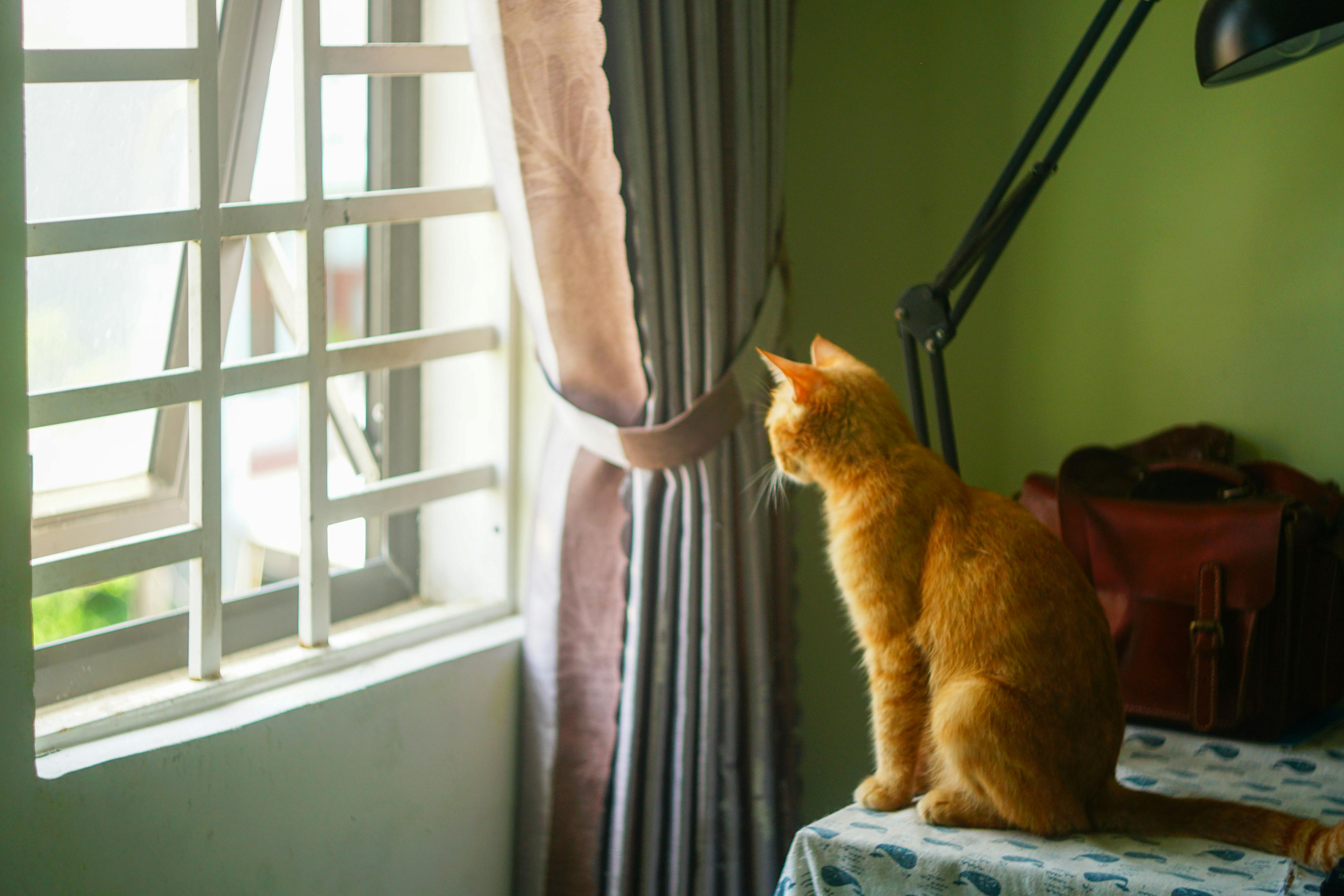 Danh sách những bộ phận thừa thãi nhất của cơ thể