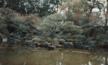 Serene Japanese Garden with Tranquil Pond