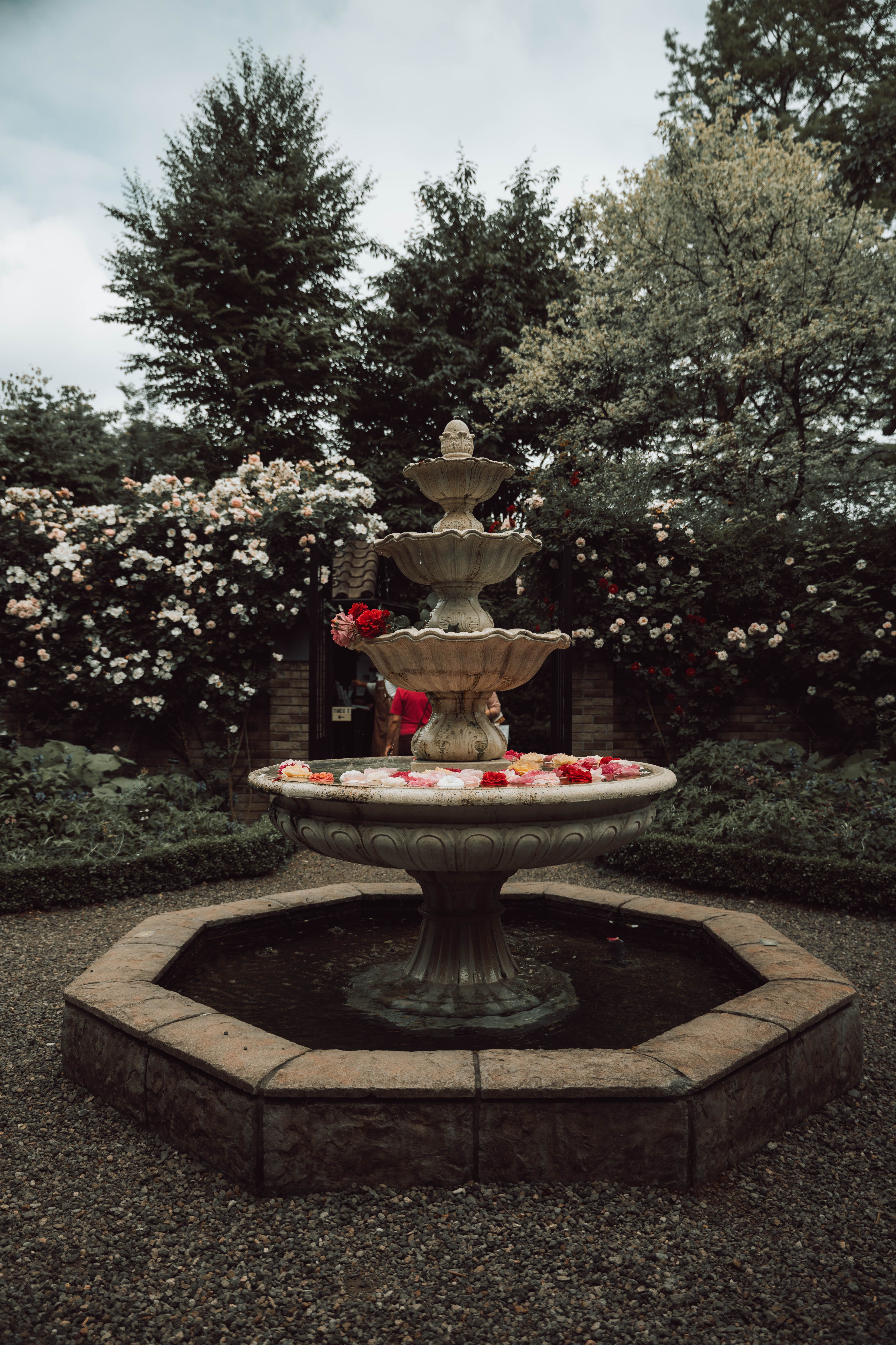 Serene Garden Fountain Surrounded by Blooming Flowers · Free Stock Photo