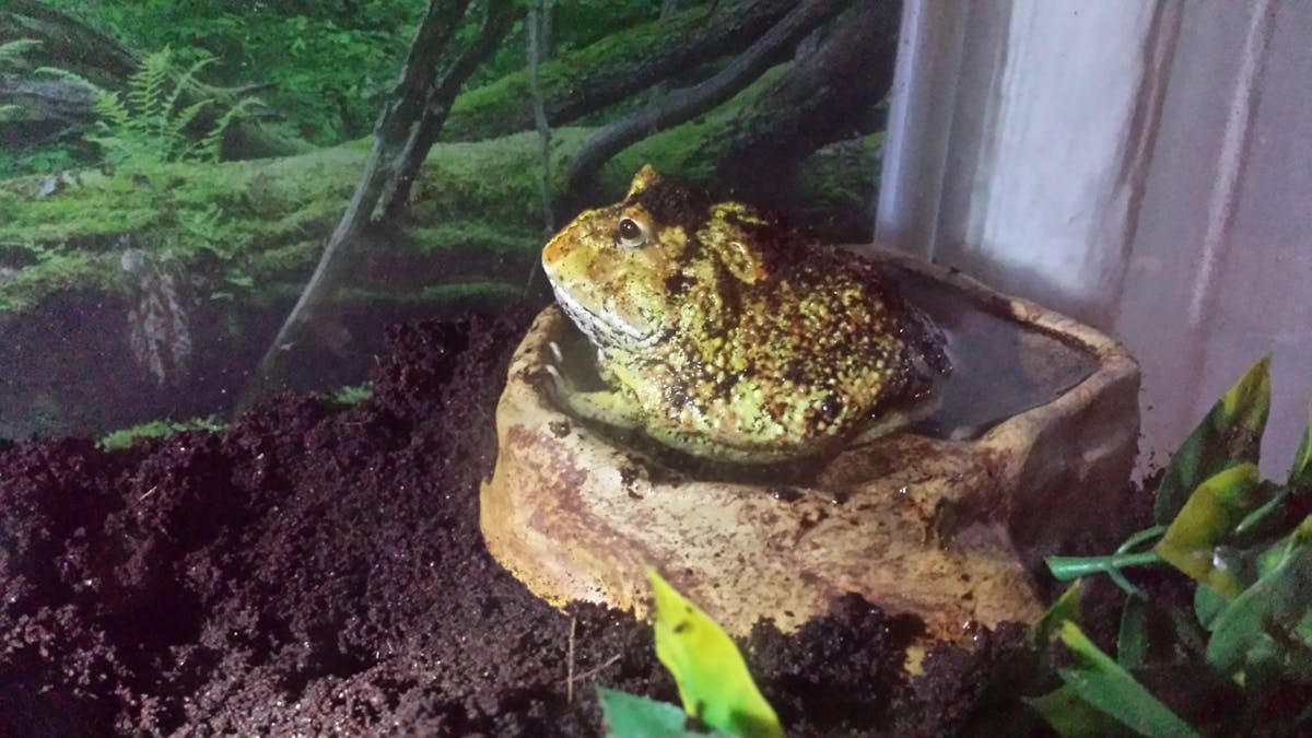 Close-up of various prescription pill bottles and medical paperwork on a table