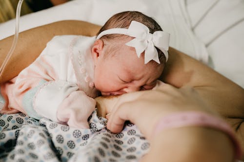 Free Newborn Baby Breastfeeding  Stock Photo