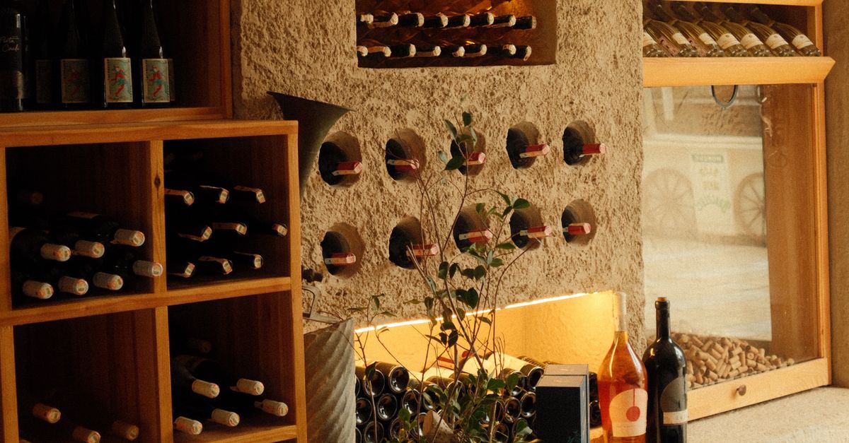 Elegant Wine Cellar with Bottles and Plant Decor · Free Stock Photo