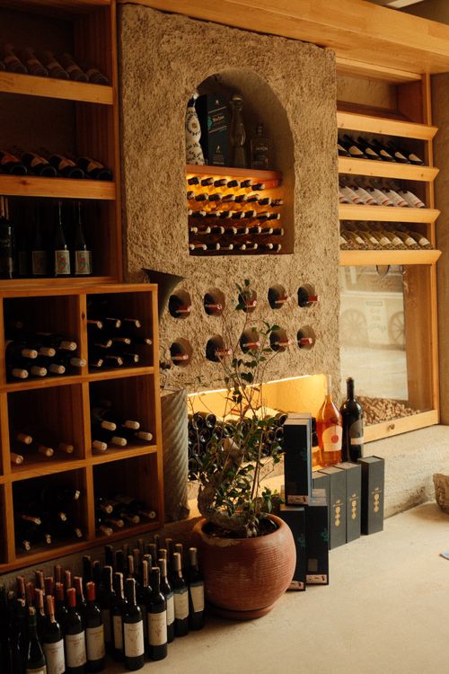 Elegant Wine Cellar with Bottles and Plant Decor · Free Stock Photo
