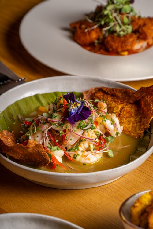 Free Scrumptious plate of ceviche garnished with edible flowers and plantain chips. Stock Photo