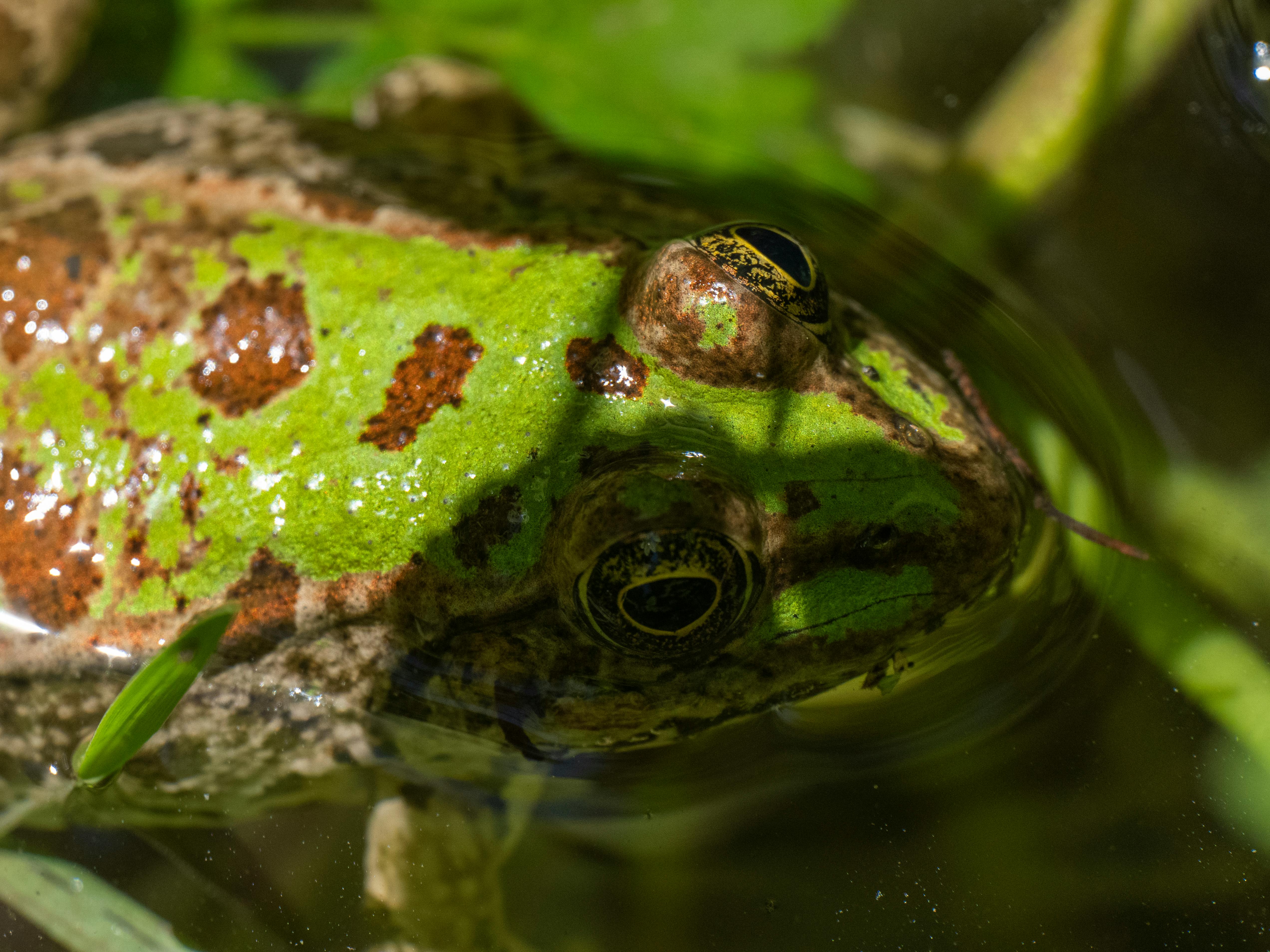 양자 노이즈의 이해