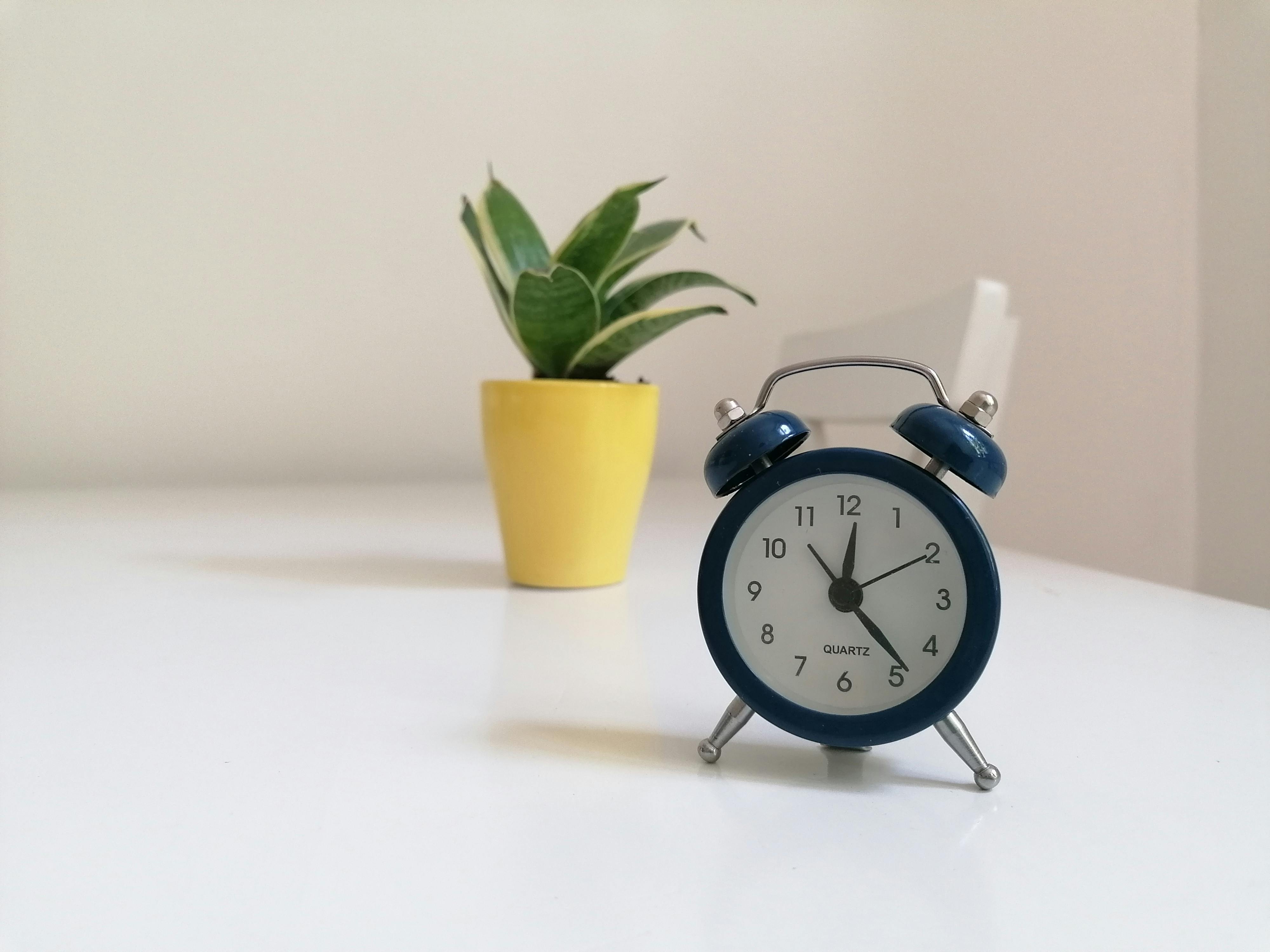 process optimization time management techniques — Photo by Enikő Tóth on Pexels