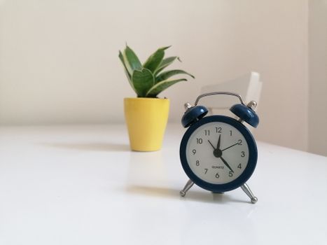A blue vintage alarm clock and potted plant on a white surface, minimalistic decor.