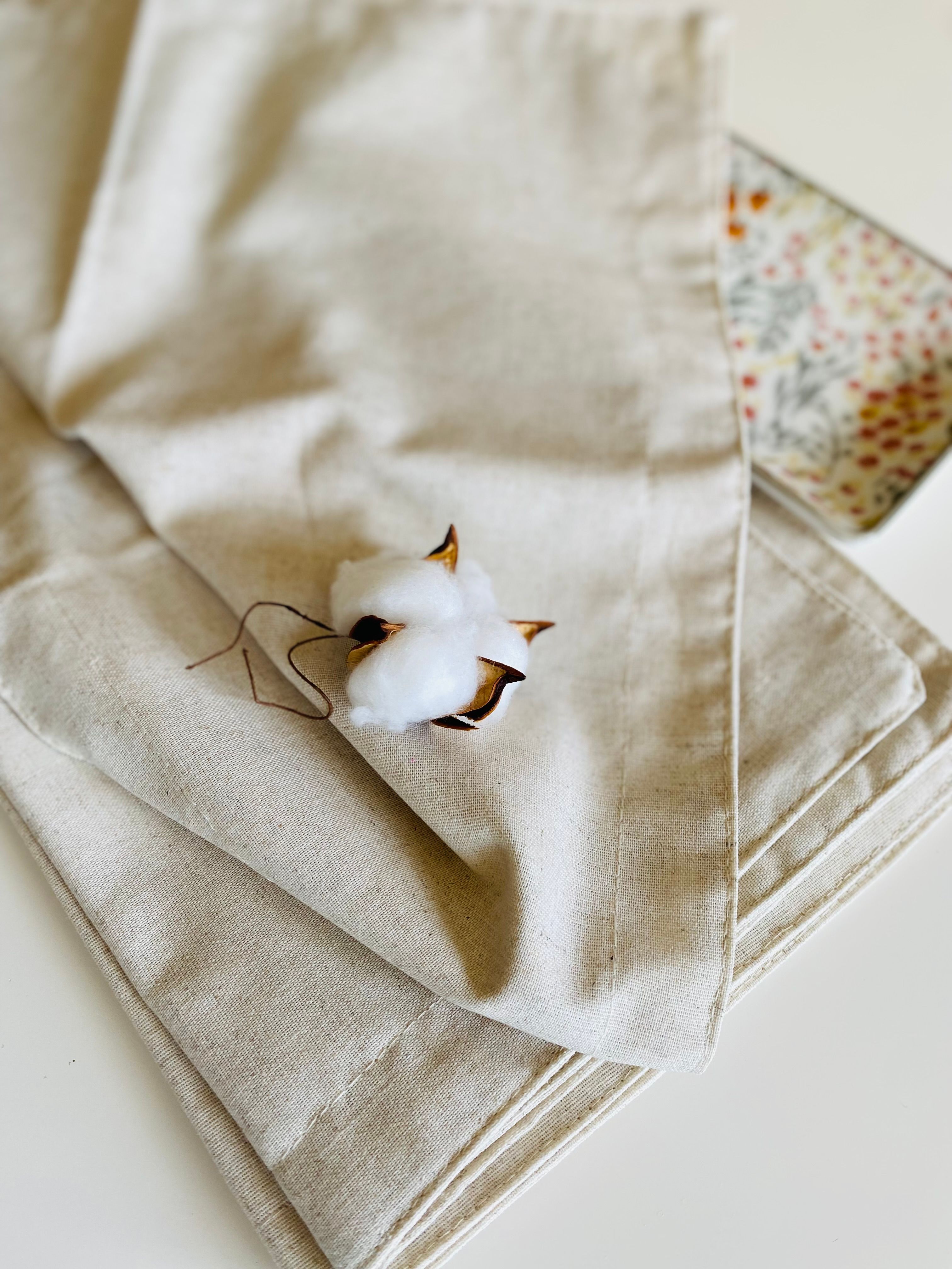 Cotton boll on beige linen — photo by Dijana Tandel on Pexels