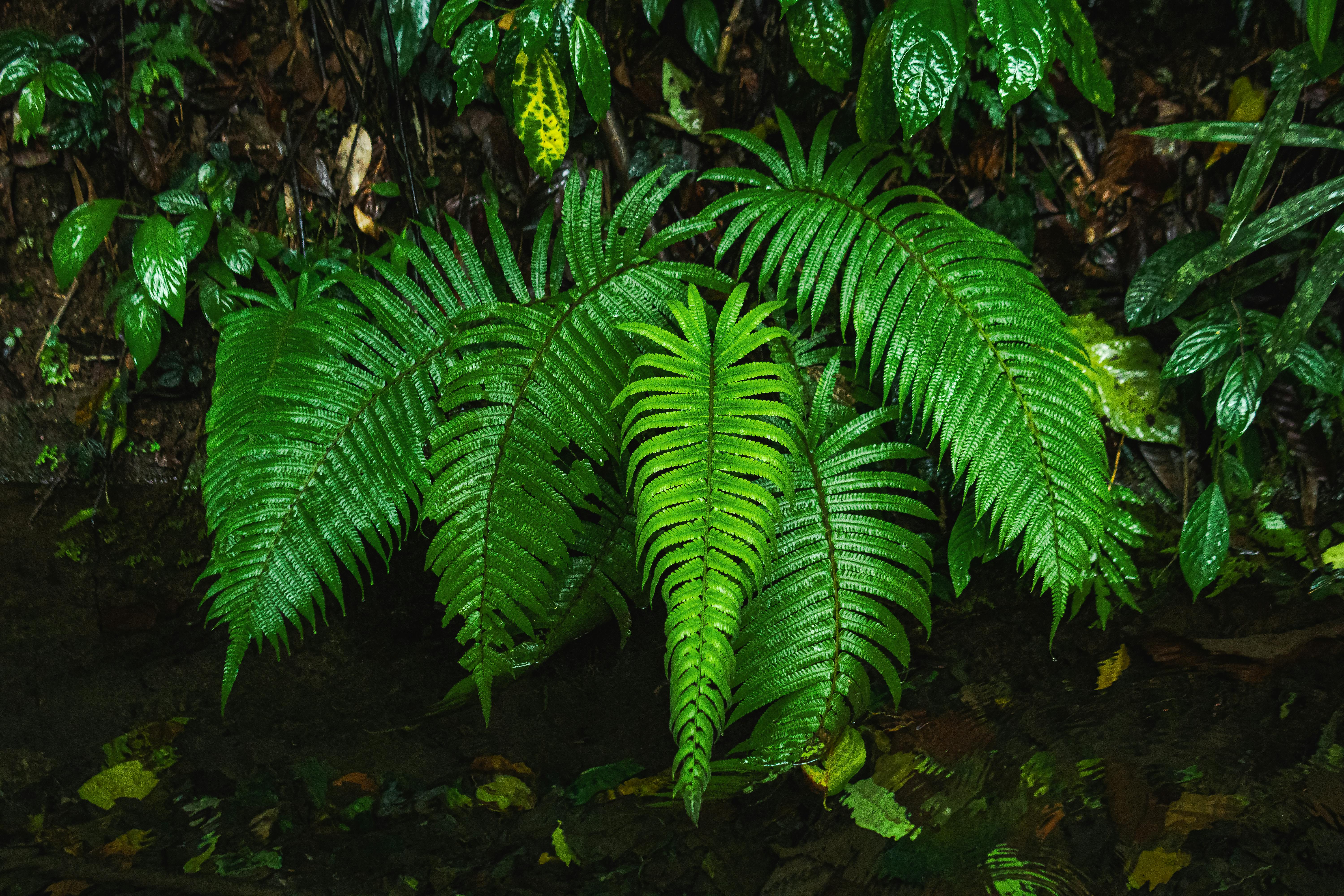 Explosive Growth Hacks for Your Website to Skyrocket Traffic