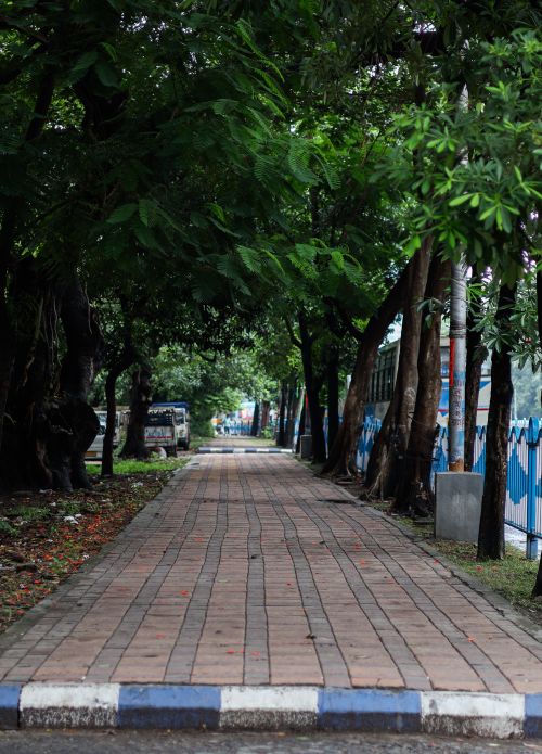 Free Brick pathway surrounded by lush green trees in an urban setting, ideal for tranquil walks. Stock Photo