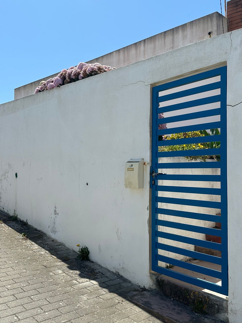 Ventura aperta o cerco a Montenegro e ameaça com moção de censura