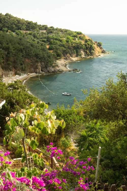 Free Stunning coastal landscape with lush greenery and vibrant flowers overlooking a serene bay. Stock Photo
