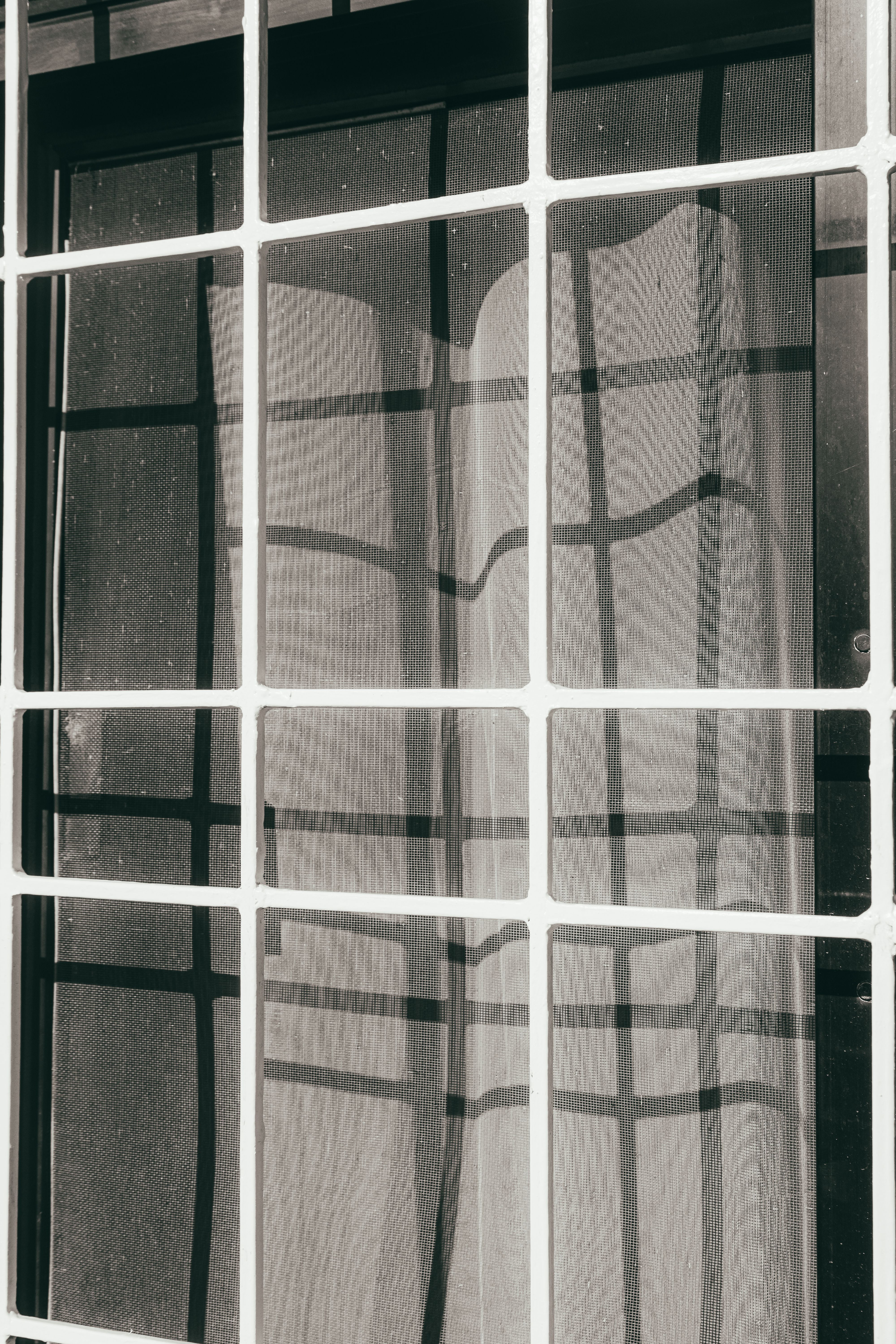 Abstract Reflection on Gridded Window Pane · Free Stock Photo