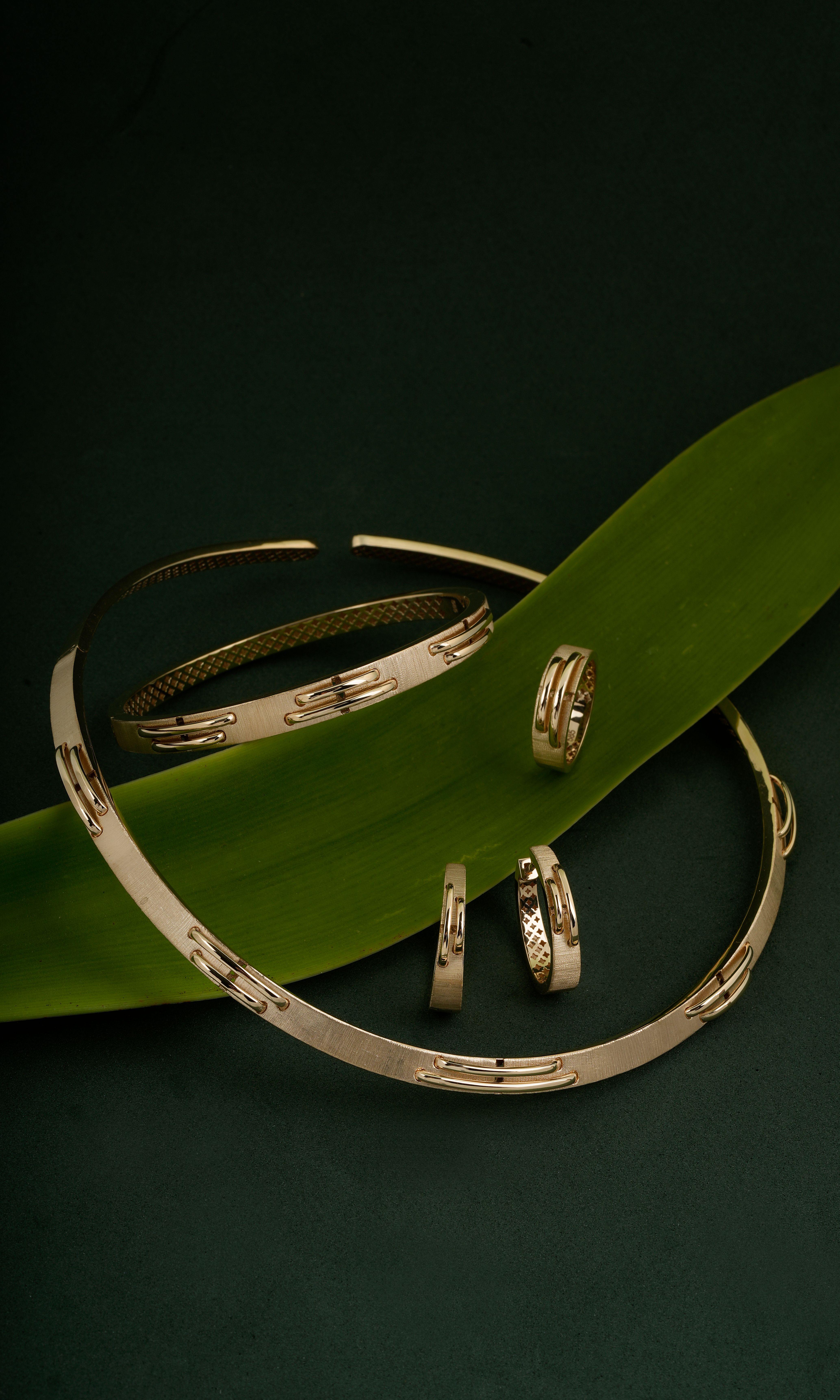 Elegant gold jewelry pieces displayed on a green leaf, perfect for fashion and luxury themes.