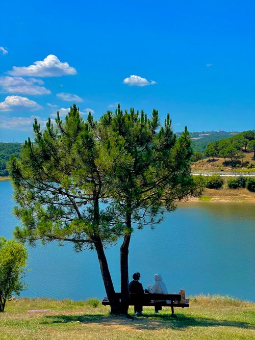 Free A serene picnic setting by a lake in İstanbul, surrounded by lush nature and calm waters. Stock Photo