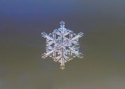 A detailed close-up of an intricate snowflake captured in winter.