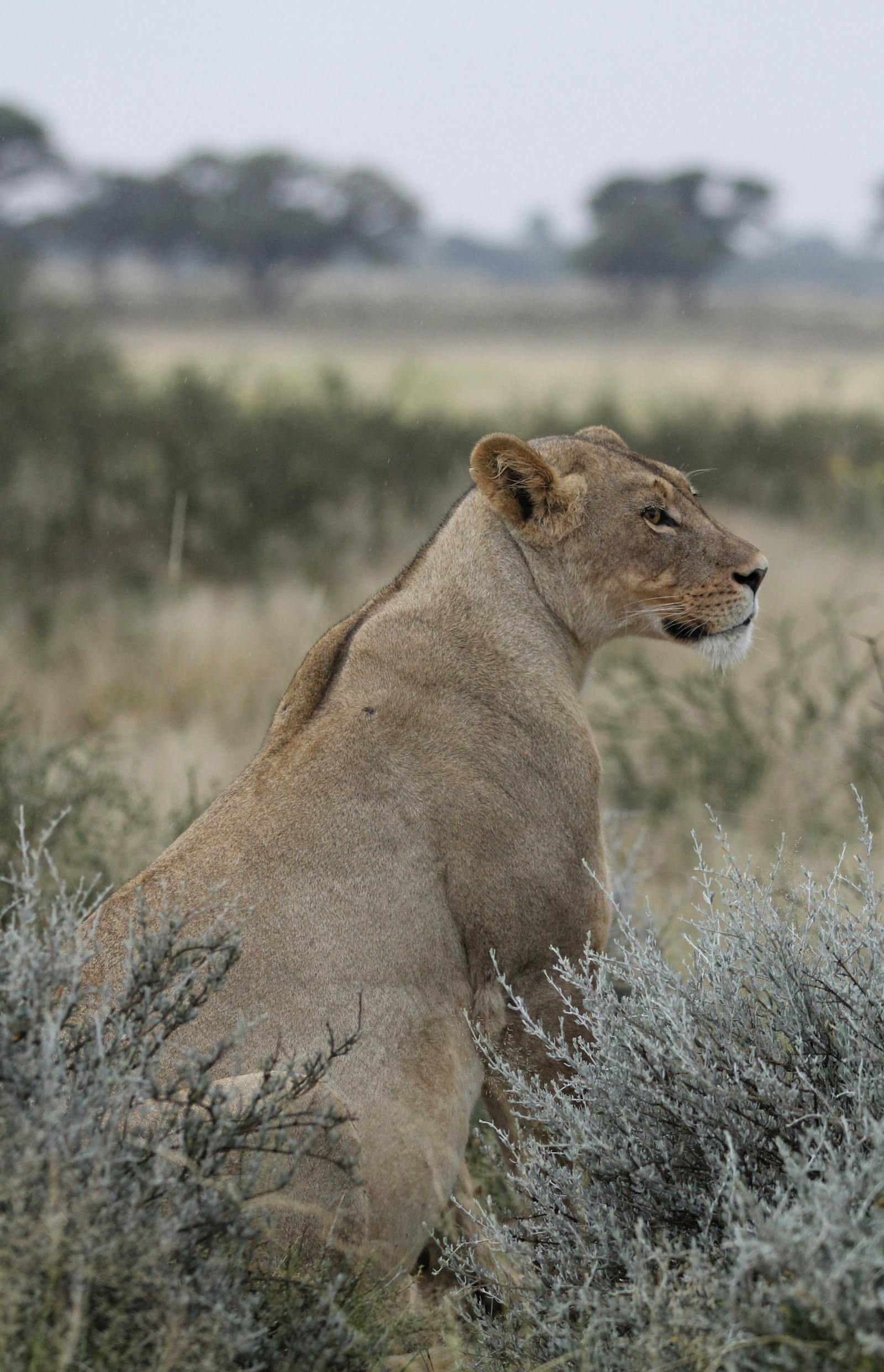 Mountains and landscapes