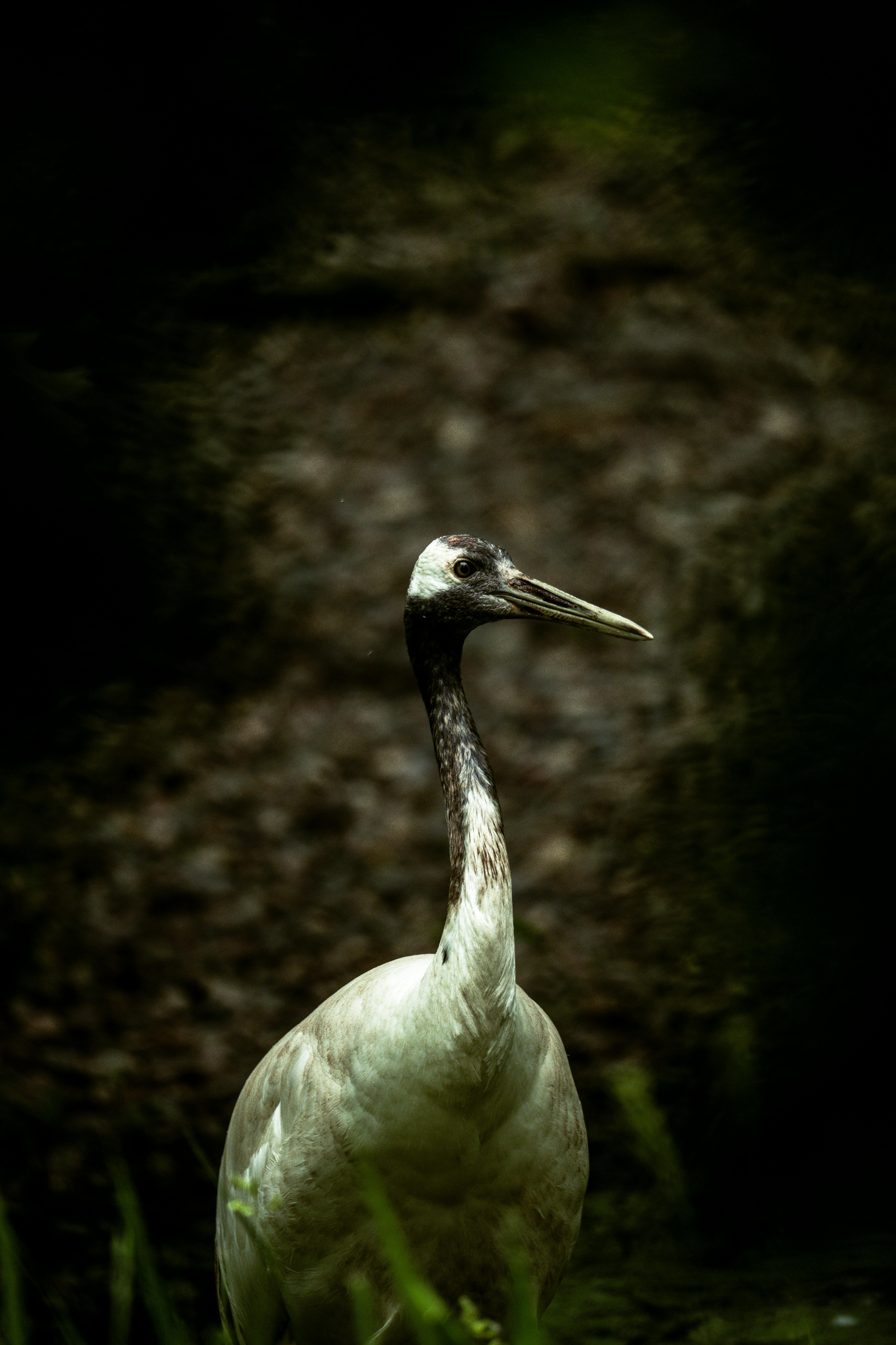 8k Breaking Bad Desktop Wallpaper Photos, Download The BEST Free 8k ...