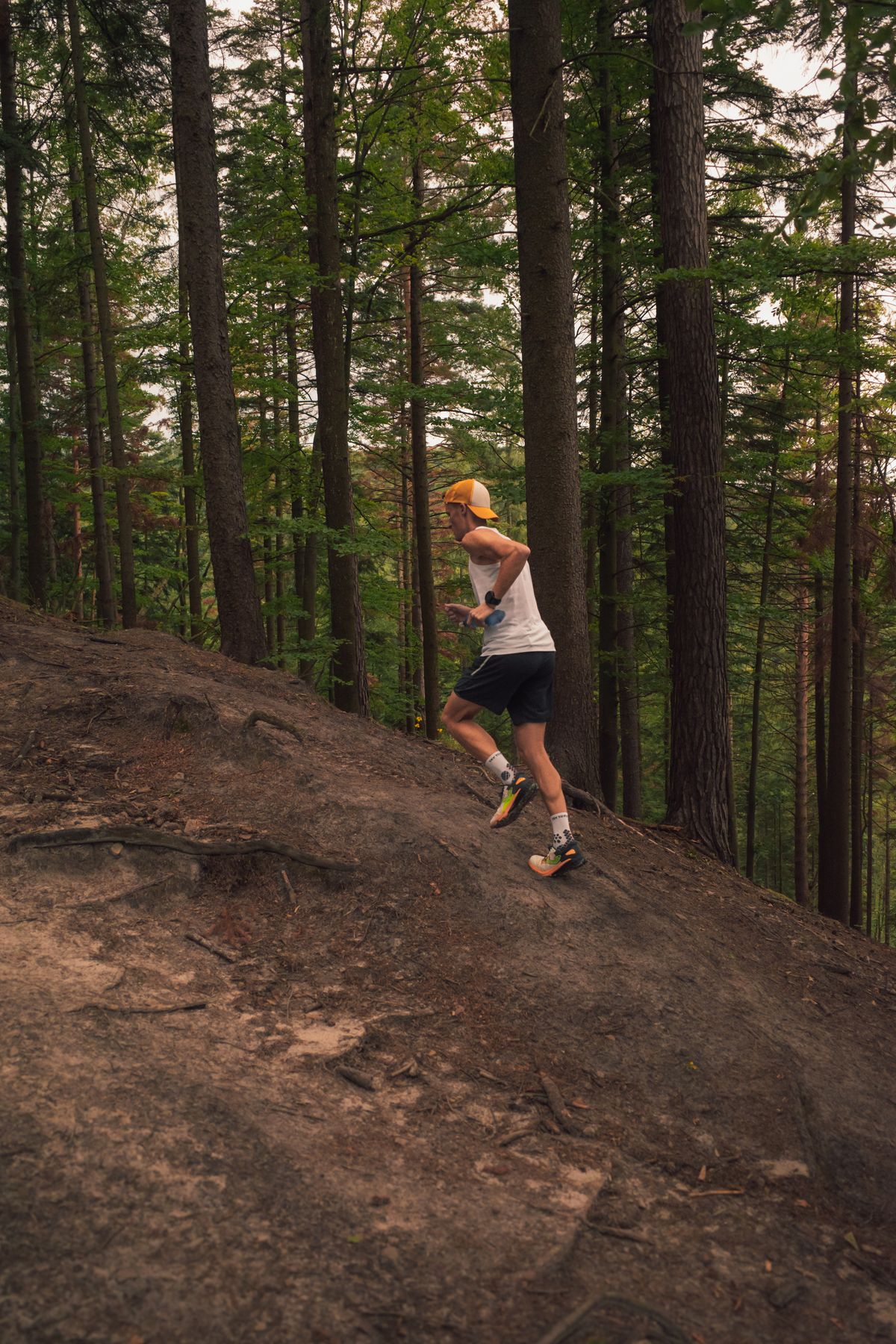 Trail runner climbing a forest path in lightweight performance clothing