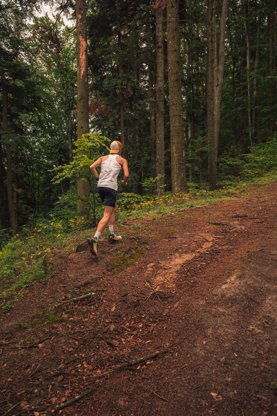 Trail runner climbing through a forest