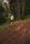 trail running