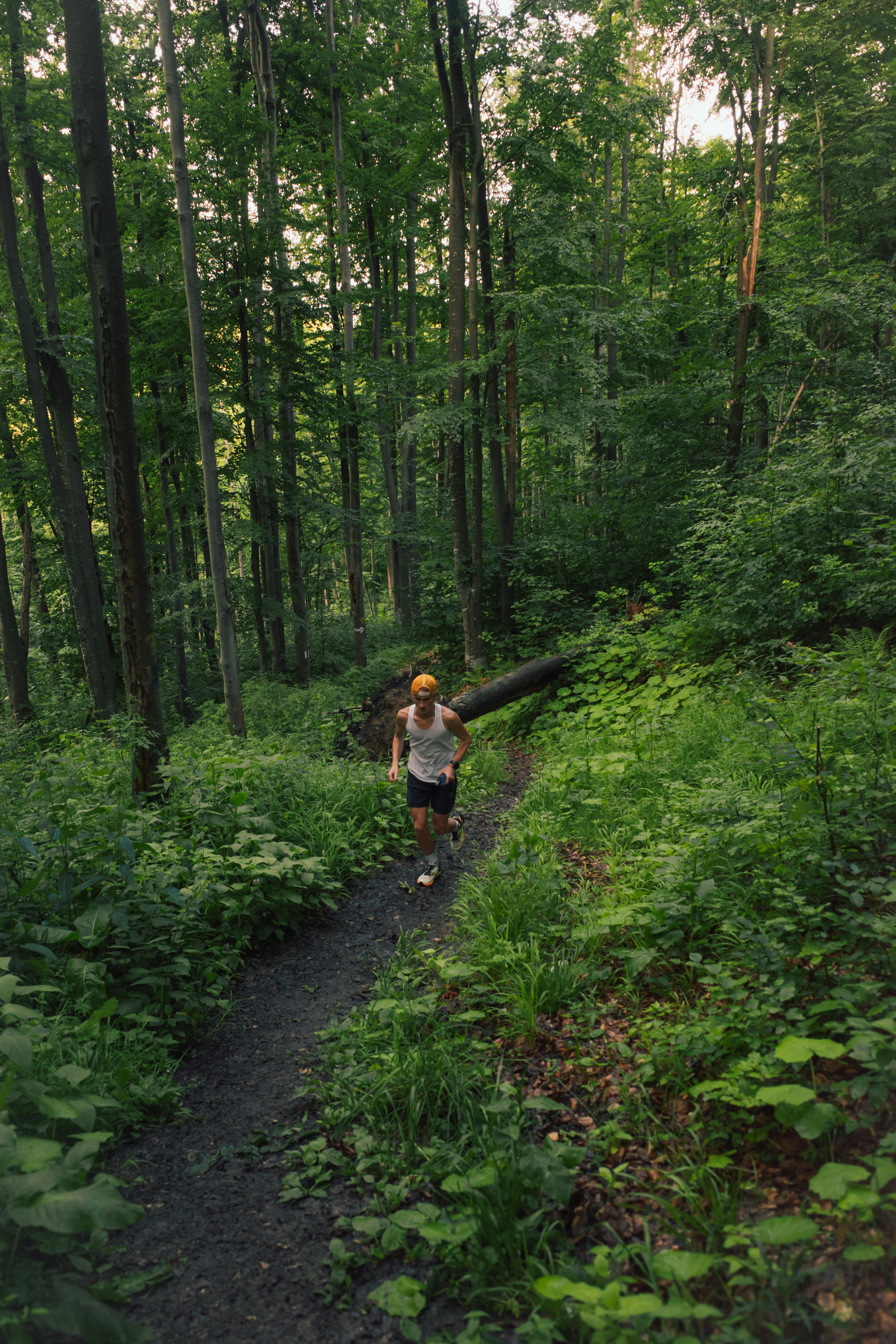 Trail Aneto-Posets - ambiente del recorrido