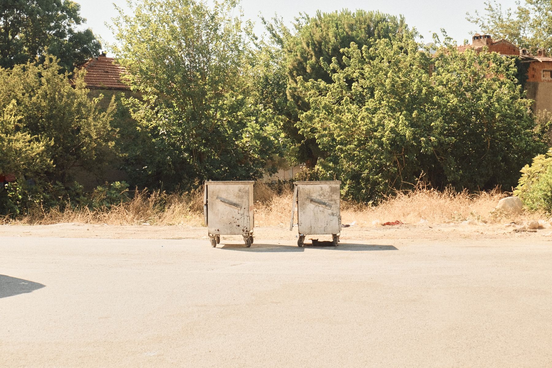 Residential trash bins outdoors in a clean streetside setting