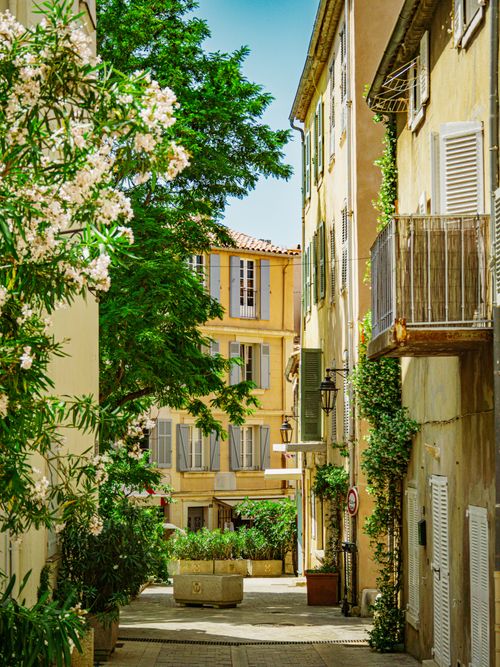 Free Quaint street in a European village, lush greenery and warm, classic architecture. Stock Photo