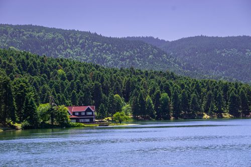 Free Lake Stock Photo