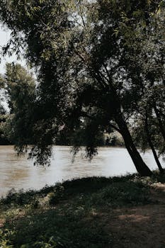 Serene river landscape with lush trees creating tranquil scenery in Hungary.